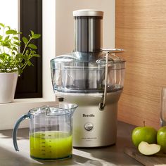 Electric Juicer Blender