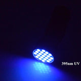 21Leds Flashlights Ultra Violet UV  AAA Battery Powered Led Flashlight Black Light For Scorpions Cash Detection