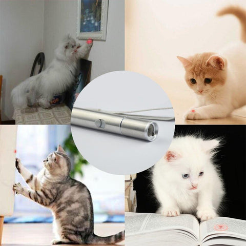 SaiDeng USB Charge Funny Laser Cat Stick Entertainment Stimulation Exercise Hunting Electric